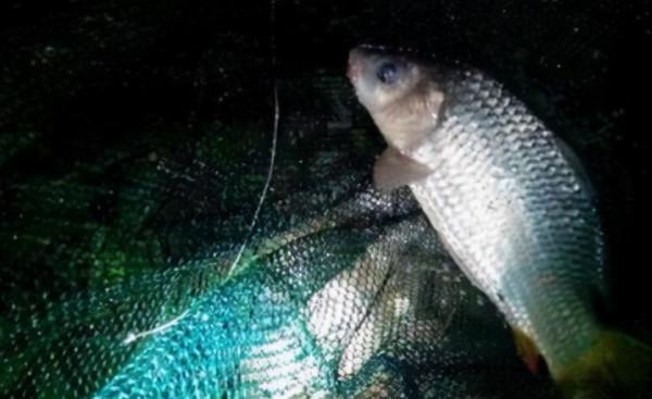 冬季夜釣常見的四大問題，解決了，輕鬆釣大魚不是夢