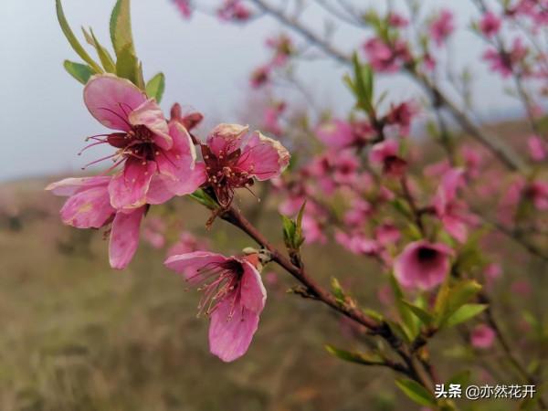 《學會提問》：排除各種干擾，專注於想問的事