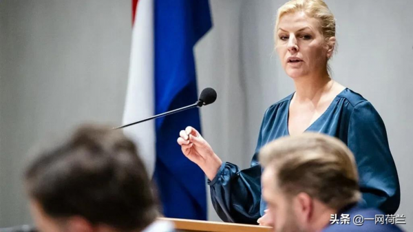 荷蘭政府真大方，發放護理獎金卻不檢查，起碼多付八億