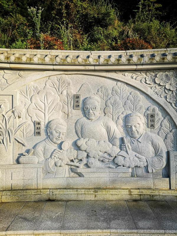 陳寅恪故里的風景(2021/06/05-07) 陳寅恪故里的風景(2021/06/05-07)