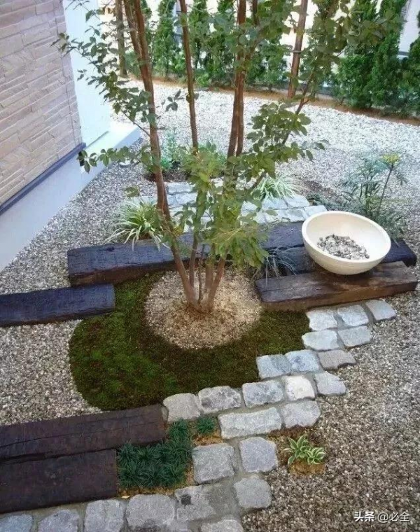 那些比草坪還美的鋪地植物