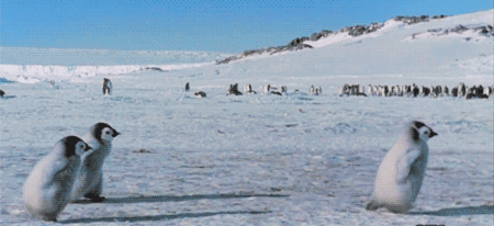 有靈且美，它們可太會了