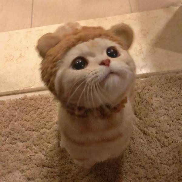 不能怪錢花了沒效果，衣櫃留空當書桌，方正邊角走弧形，新穎實用