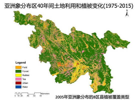 大象到家了,會有下次旅行嗎? 大象到家了,會有下次旅行嗎?