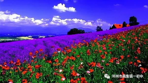 鄧州市高集一初中在開學典禮暨教育質量表彰大會上的講話