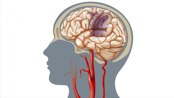 管不住嘴總想吃東西，4種不胖不餓的食物，既滿足食慾又輕鬆減肥