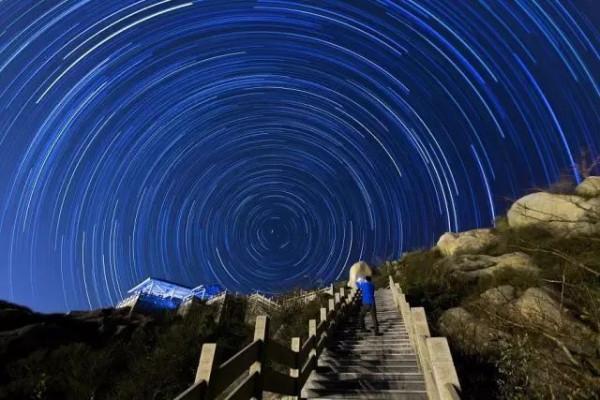 大美臨港丨聽人鯨傳奇、看海天一色、望璀璨星空……這樣的生態寶地，你嚮往嗎？