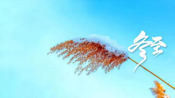 「新詩採擷」陳家聲 | 冬 至