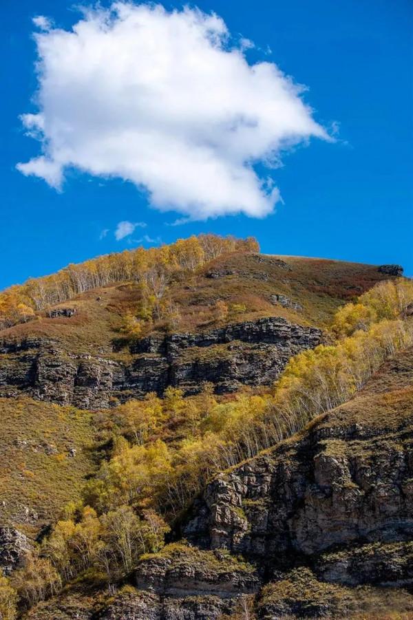 層林盡染的黃崗梁,許你一個秋天的童話 層林盡染的黃崗梁,許你一個秋天的童話