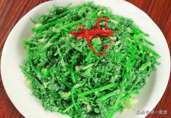 小茴香怎麼蒸不坨,學會這幾個技巧,5分鐘出鍋,清淡爽口不粘連 小茴香怎麼蒸不坨,學會這幾個技巧,5分鐘出鍋,清淡爽口不粘連