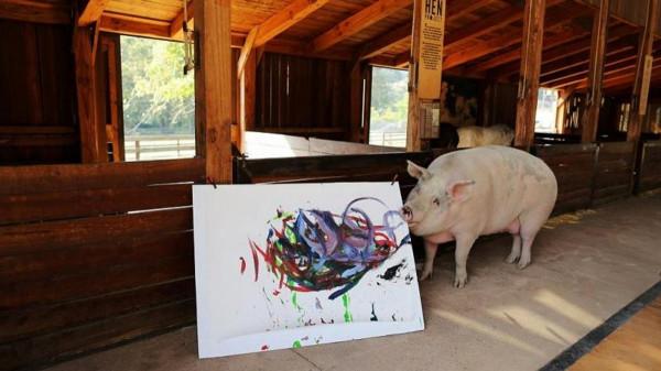 西方培養豬界藝術家，一幅畫賣17萬元！又要藉機指責中國人吃肉？