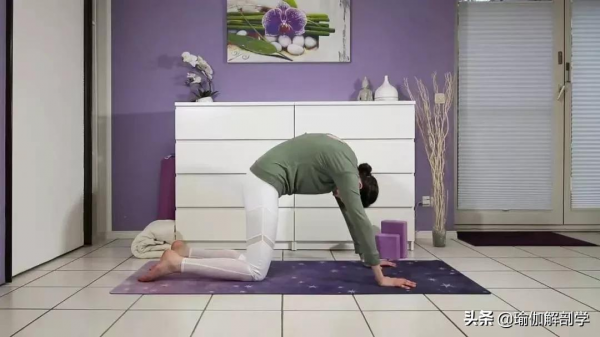 10個脊柱最喜歡的瑜伽動作，初學者也能練