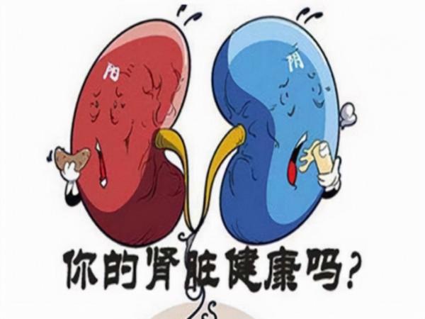 尿毒症腎衰竭為何越來越多？避開傷腎的5個誤區，很重要