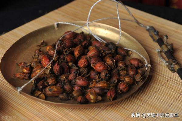 結節？送你十味中藥，化痰瘀，祛血瘀，行氣鬱，不來了解下嗎？