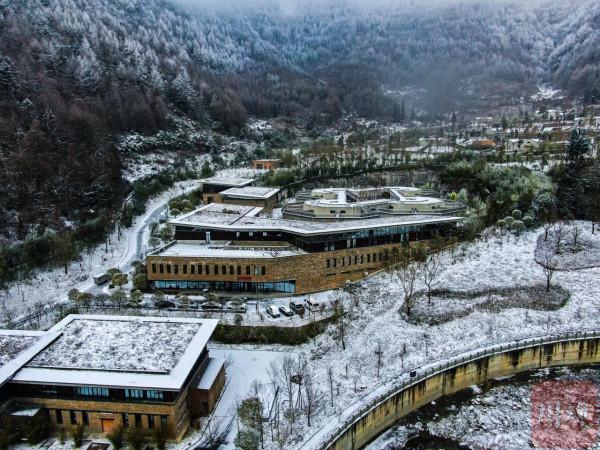 萌翻！大熊貓雪中盡情撒歡