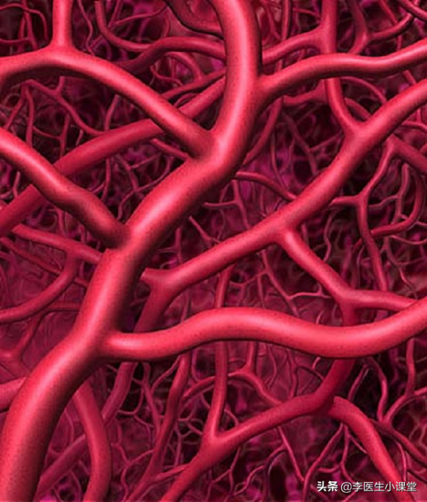 怎樣正確服用維生素B2、B12、C和葉酸？餐前服用好還是餐後服用好