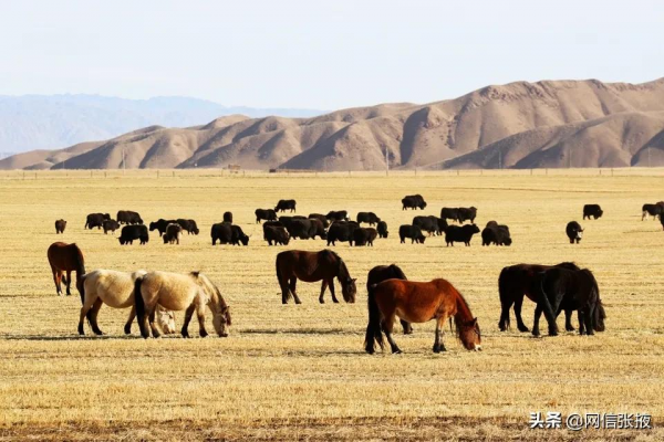 山丹馬場冬日景色美