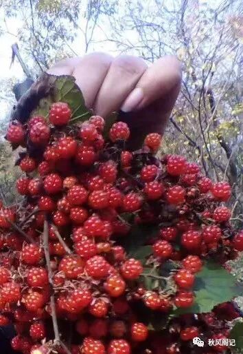 城南舊事之老一小