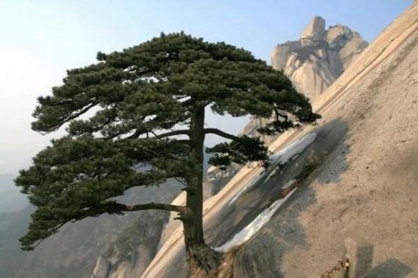 天柱山景區攻略