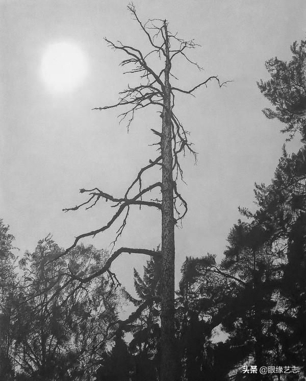 1440個小時的涅槃之畫：黎明之樹，佐藤裕一郎的心之風景