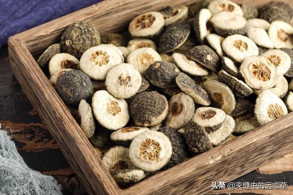 秋燥便秘?一劑麻子仁丸,潤腸通便,助你改善便秘煩惱 秋燥便秘?一劑麻子仁丸,潤腸通便,助你改善便秘煩惱