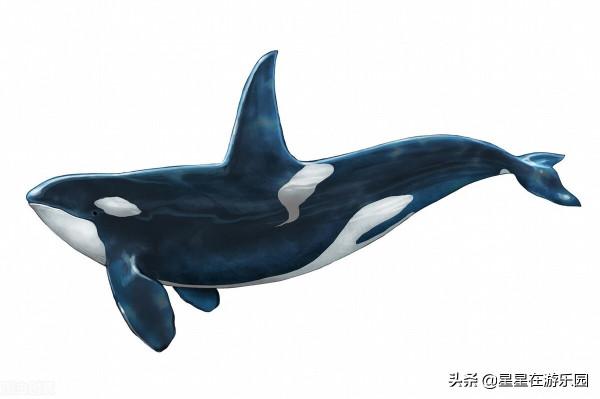 聊齋故事:蠍子王 聊齋故事:蠍子王