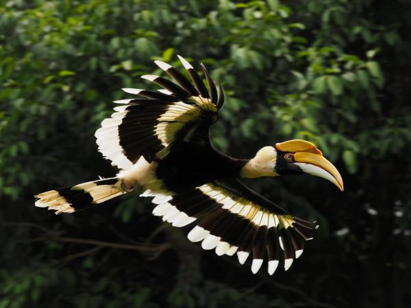 為了拍娃，我賣掉索尼全幅入手奧林巴斯M43