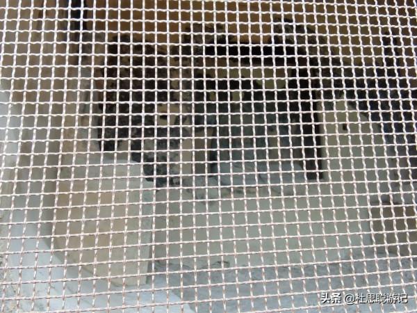 漢EV自駕甘肅,探訪中國四大石窟之一的麥積山石窟,震撼 漢EV自駕甘肅,探訪中國四大石窟之一的麥積山石窟,震撼