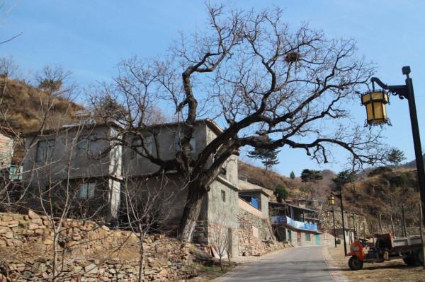 大山深處的百年石頭寨——英談古寨 大山深處的百年石頭寨——英談古寨