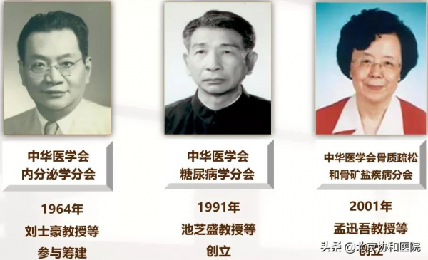 主任話科史 | 內分泌科主任夏維波:學史明理,知史礪行 主任話科史 | 內分泌科主任夏維波:學史明理,知史礪行