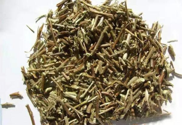 「鵲華·百家」物美價廉的忍冬藤