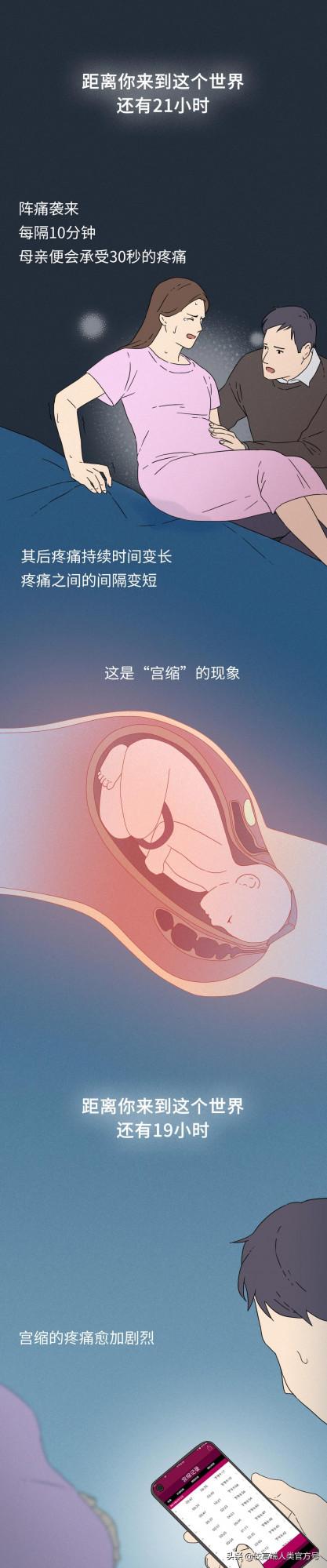 你出生前的24小時,都經歷了什麼? 你出生前的24小時,都經歷了什麼?