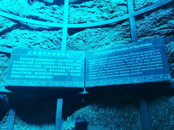 親子旅行-看,好多恐龍蛋呀 親子旅行-看,好多恐龍蛋呀