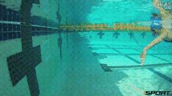 爬泳與仰泳前滾翻轉身的兩個動作要領和五個練習方法