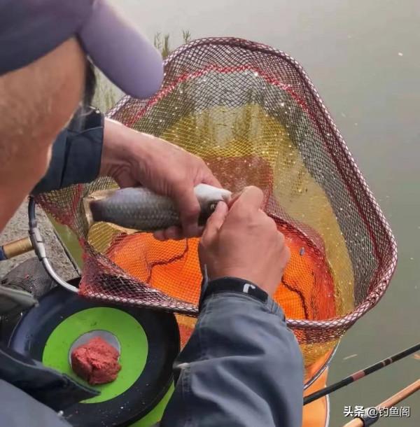 野釣還被人打閉口？惹不起還躲不起，聽我一句勸“溜吧”