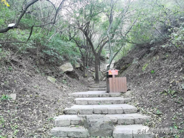 每年僅開放一個月的賞紅景點,到底值不值得去? 每年僅開放一個月的賞紅景點,到底值不值得去?