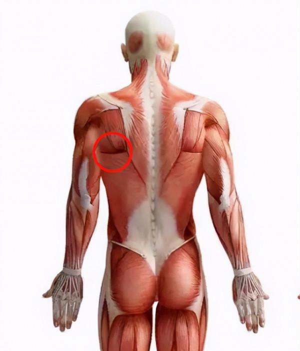 從呆板到靈動,跟喬欣學逆襲套路,不整容也能半年內提升顏值 從呆板到靈動,跟喬欣學逆襲套路,不整容也能半年內提升顏值