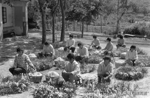 蘇州吳縣七八十年代老照片 蘇州吳縣七八十年代老照片