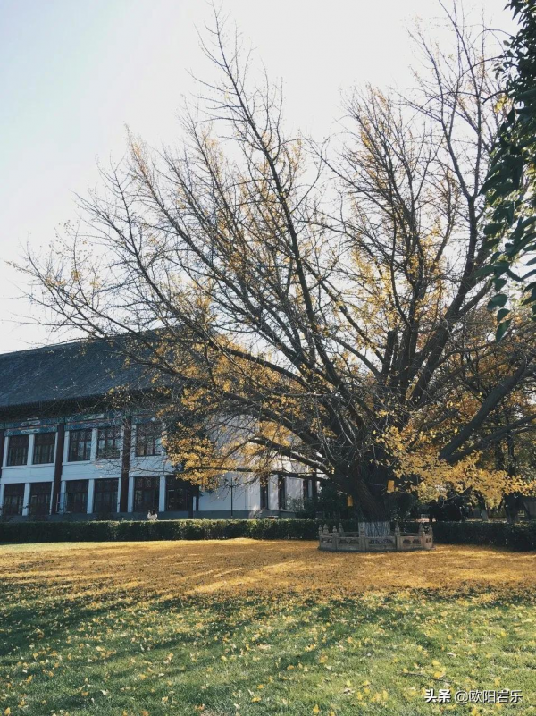 秋天的第一場旅行，你可以去這6個地方。一入秋，他們就變色了…