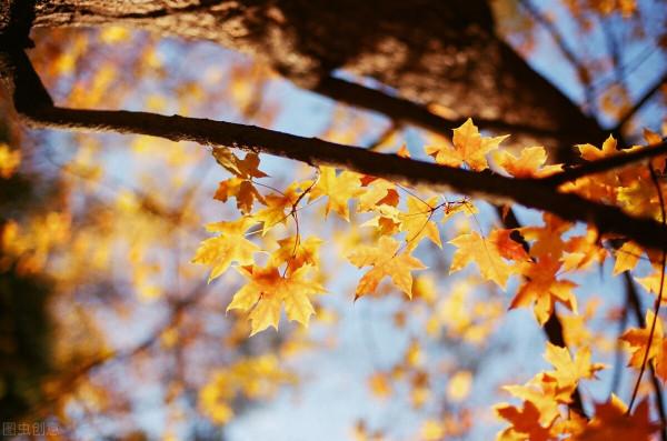 馮友蘭:長壽的重要在於能多明白道理,若無生活經驗是無法理解的 馮友蘭:長壽的重要在於能多明白道理,若無生活經驗是無法理解的