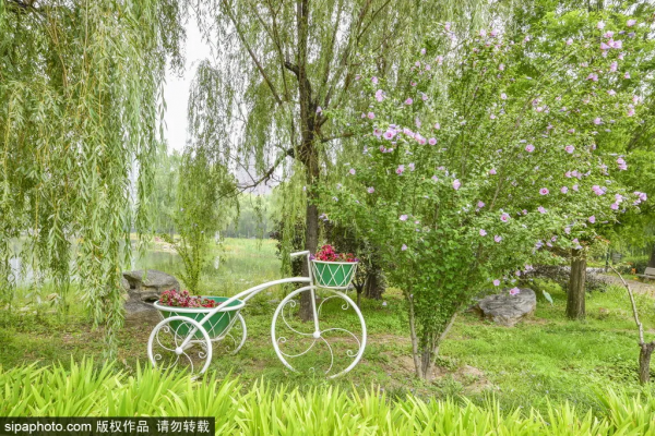 親切!家門口的這些免費小公園,承包你不出遠門的夏天! 親切!家門口的這些免費小公園,承包你不出遠門的夏天!