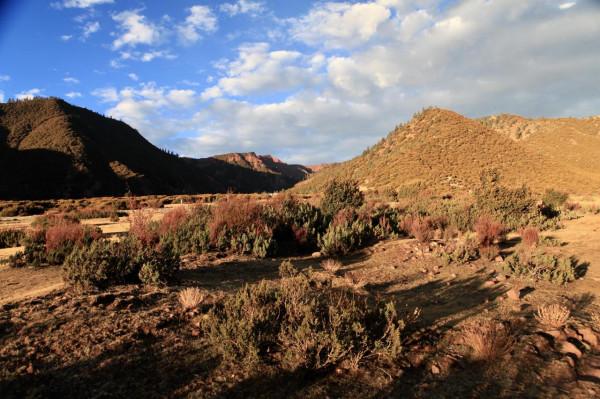 “秋遊到西藏”系列遊記：小牧場裡敘舊緣，最高峰前拍個照