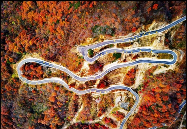 沿途皆如天堂!這10條深秋路線,去過一半就邂逅中國大半的美 沿途皆如天堂!這10條深秋路線,去過一半就邂逅中國大半的美