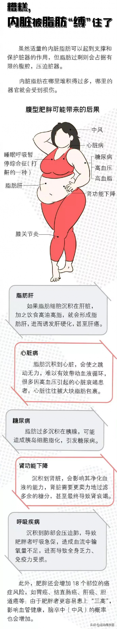 內臟&OpenCurlyDoubleQuote;瘦身&rdquo;計劃，預防心腦血管疾病，從&OpenCurlyDoubleQuote;肚子&rdquo;開始