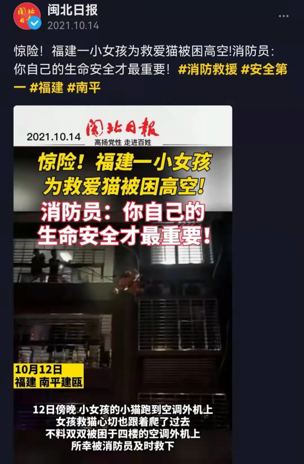 生命之吻！他人工呼吸拯救昏迷小貓，中國消防員也很暖
