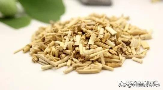 「養生有道」春季一杯代茶飲 幫您疏肝宣肺調通五臟