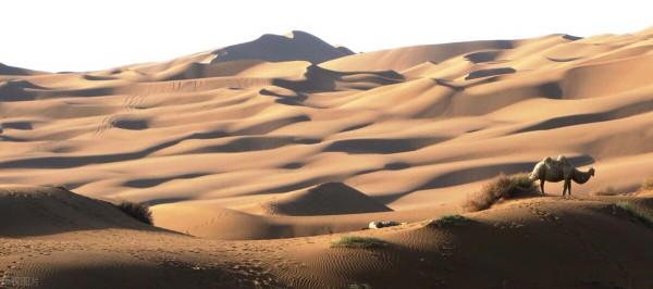 不可思議！一次滔天大洪水，竟然給新疆帶來幾百年空前繁榮