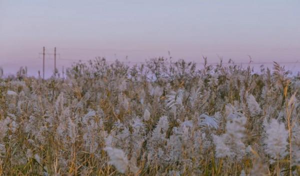 這是山東,東營! 這是山東,東營!