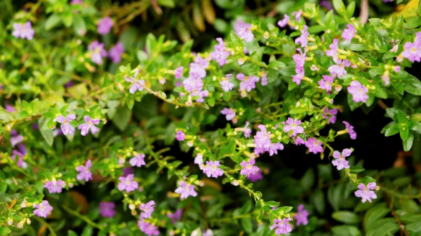 冬天進補，我們到底要補什麼？