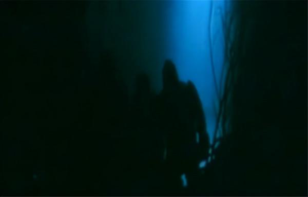 1997年，中科院對“猴娃”進行屍檢，研究者：它是小腦症患者